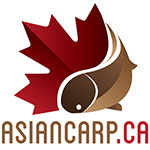 Asian Carp Canada