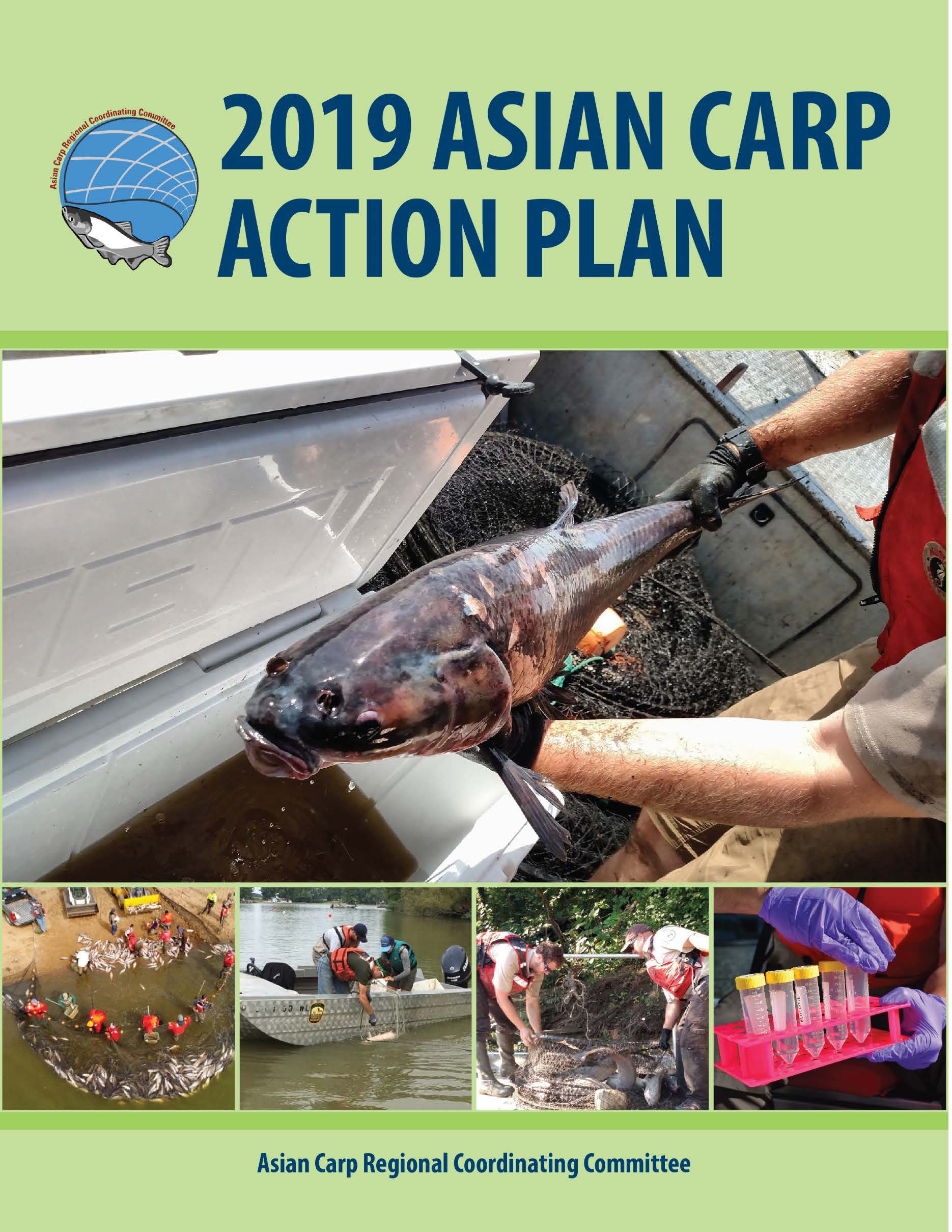 Cover of the 2019 Asian Carp Action Plan