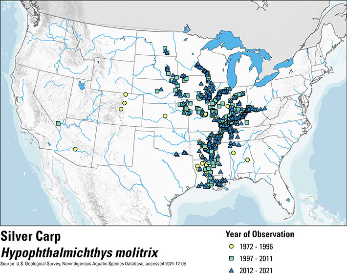 Map of the United States depicting silver carp occurence from 1972 to 2021. Observations are shown in three groups of time with a yellow circle for 1972-1996, a green square for 1997-2011 and a blue triangle for 2012-2021. The majority of occurrences across the entire range of time are in the Missouri River, Ohio River and Mississippi River basins in the central U.S.