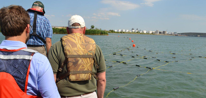 Nets placed by crews throughout the Lake Calumet area. Photo by IL DNR.