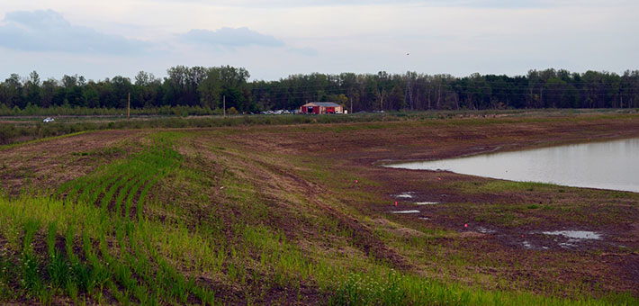 Eagle Marsh berm. Photo by Katie Steiger-Meister/USFWS.