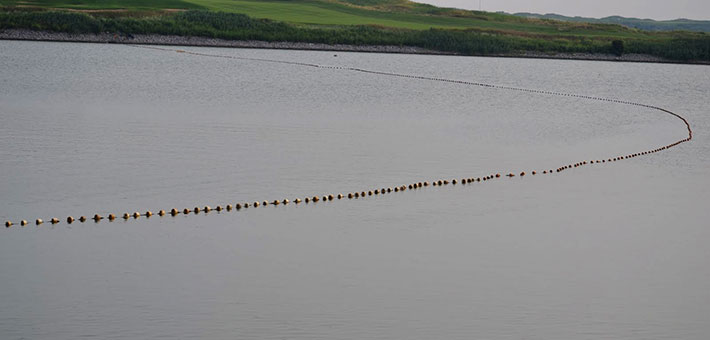 Fish sampling and Asian carp monitoring. Photo by ACRCC.