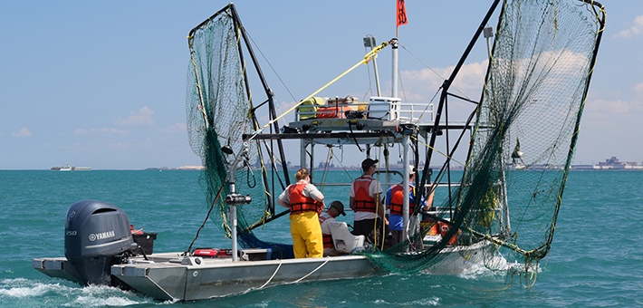 The U.S. Fish and Wildlife Service's Magna Carpa deployed to Calumet Harbor on June 27, 2017. Photo courtesy of IL DNR.