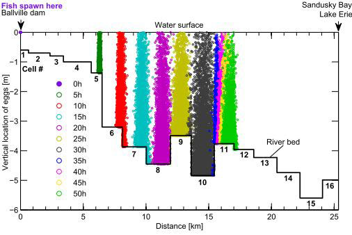 Evolution of the movement of a mass of 5,000 simulated silver carp eggs in the lower Sandusky River in Ohio. The y-axis indicates the vertical location of the eggs, and the x-axis indicates the distance downstream from the Ballville Dam (simulated spawning location). The y-axis equal to zero corresponds to the water surface. The solid black line indicates the cells representing the river bed with each cell corresponding to different physical conditions measured in the river reach.