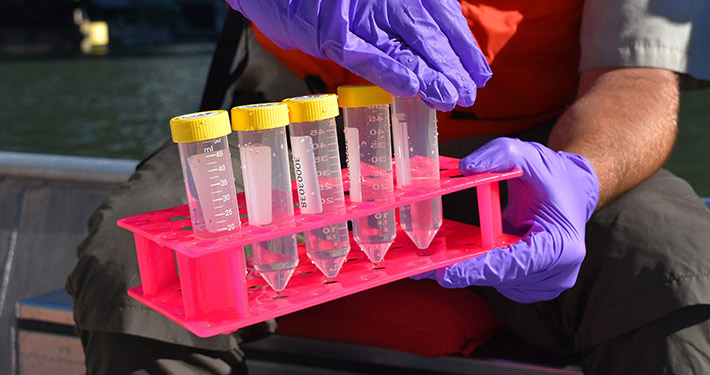 A set of plastic test tubes in a rack.